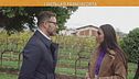I distillati di Franciacorta