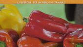 Il peperone