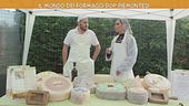 Il mondo dei formaggi dop piemontesi