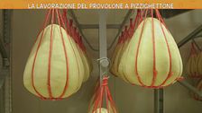 Il provolone di Pizzighettone