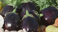 Le melanzane
