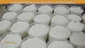 La Murgia Barese: una produzione di eccellenza