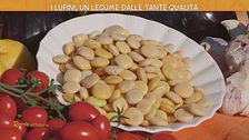 I lupini, un legume dalle tante qualità