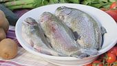 La trota: un pesce pregiato e poco calorico