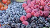 I frutti di bosco