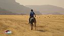 Fantini nel deserto