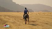 Fantini nel deserto