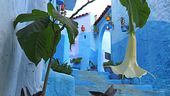 I colori del Marocco