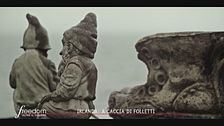 Irlanda 1989: trovato in un bosco i resti di un folletto?