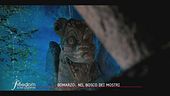 Bomarzo: il bosco dei mostri