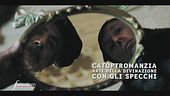 Nostradamus, la Regina e la catoptromanzia