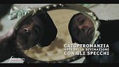 Nostradamus, la Regina e la catoptromanzia