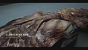 Le mummie d'Irlanda