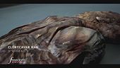 Le mummie d'Irlanda