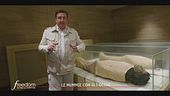Il museo del Cairo: tesori mai visti