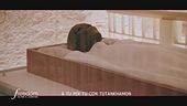 La tomba di Tutankhamon