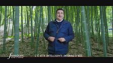 C'è vita intelligente intorno a noi