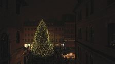 L'albero di Natale di Asiago