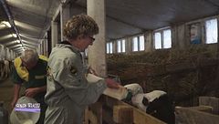 Il lavoro faticoso di Luciana