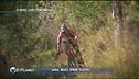 E-bike, che fenomeno!