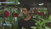 Docufilm: Il pilota e l'ambiente