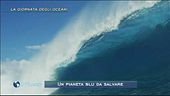 La giornata degli oceani