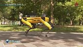 Cane robot per mantenere il distanziamento sociale