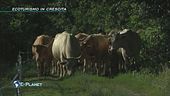 L'ecoturismo in crescita
