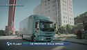 I bisonti elettrici