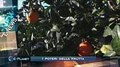 I poteri della frutta