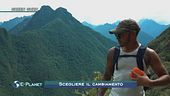 Lewis Hamilton, un green guru