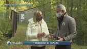 Educazione ambientale
