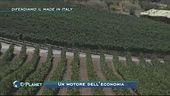 Agricoltura: difendiamo il made in Italy