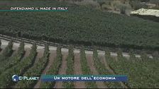 Agricoltura: difendiamo il made in Italy