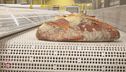 Il Pane artigianale