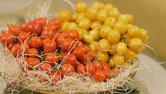 I pomodori