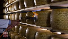 Grana padano