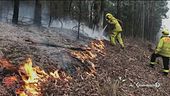 Australia, l'appello delle star