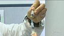Incubo meningite, vaccini di massa