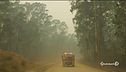 Brucia l'Australia, neve nel Sinai