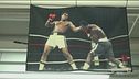 Il tempio della boxe