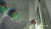 Virus Cina, rischio pandemia