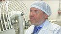 Il laboratorio di panettoni