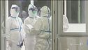 Allarme pandemia, isolata Wuhan