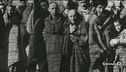 Shoah, il numero dei negazionisti in crescita