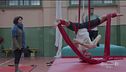 Circo contemporaneo