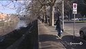 A Roma un'altra domenica a piedi