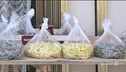 La burocrazia mangia le orecchiette