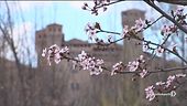 E il clima "inganna" la natura