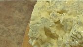 Come nasce il gorgonzola
